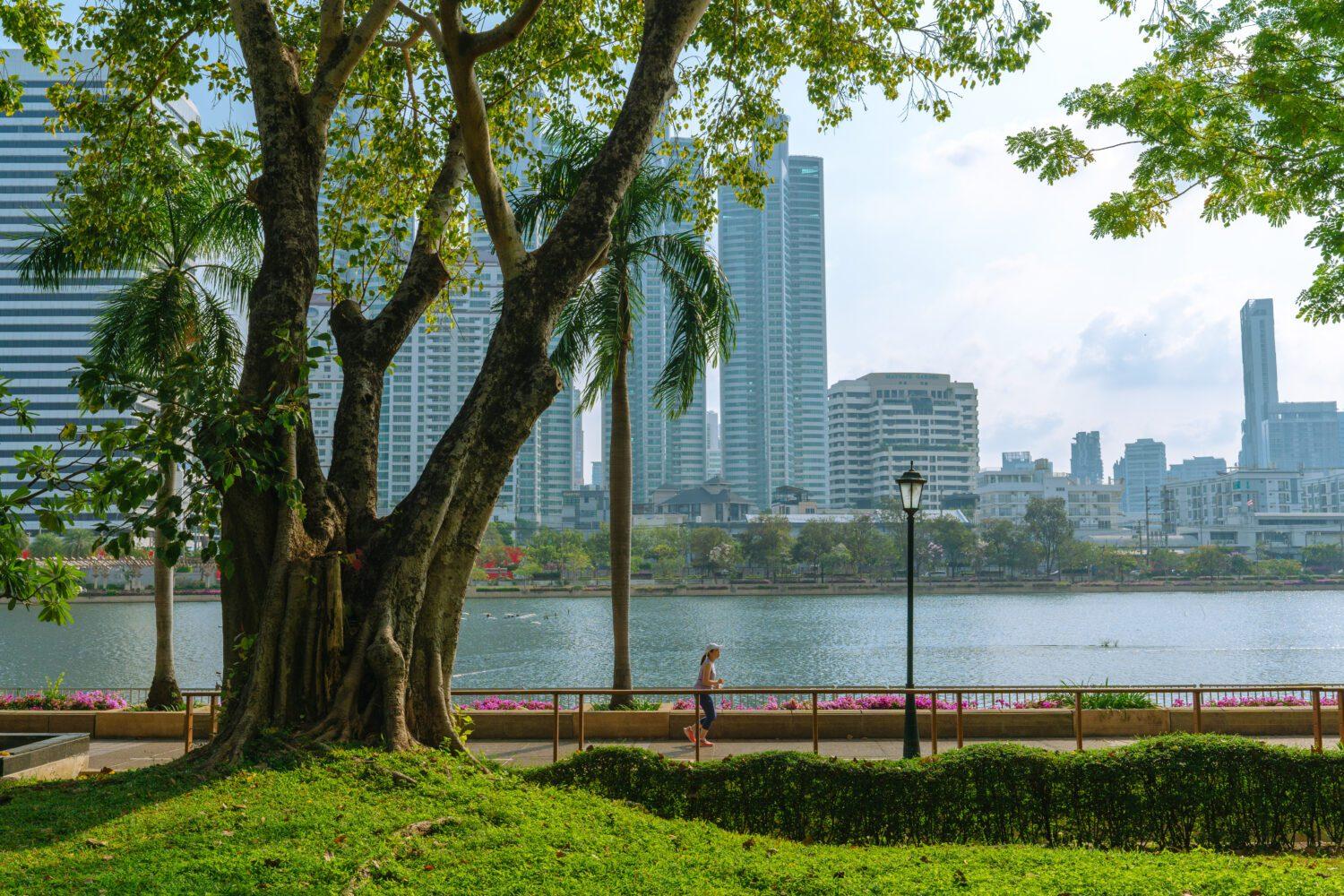 Green Infrastructure