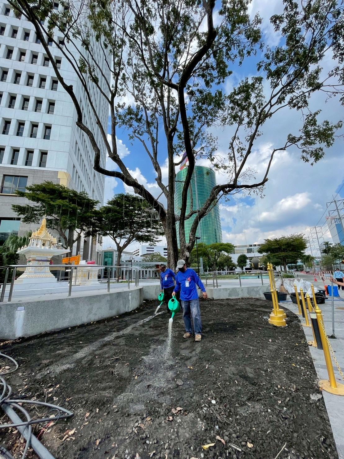 BIG Trees biochar restoration network