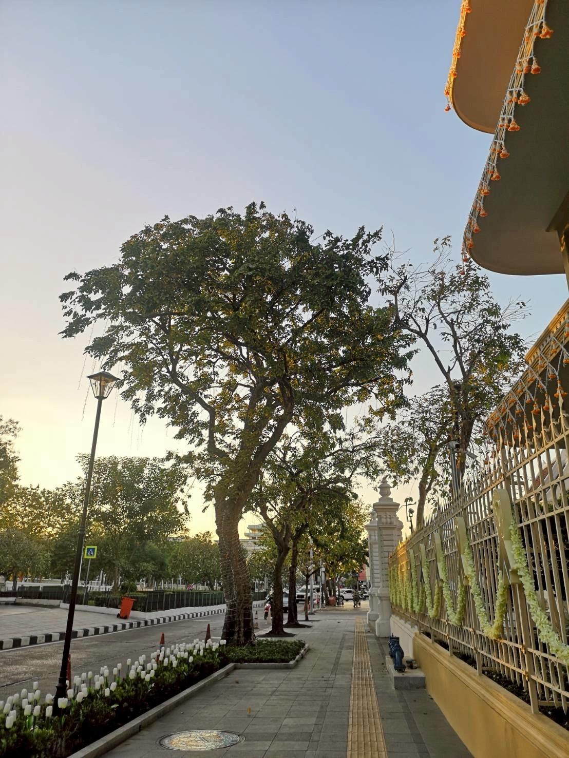 Biochar soil improvement work