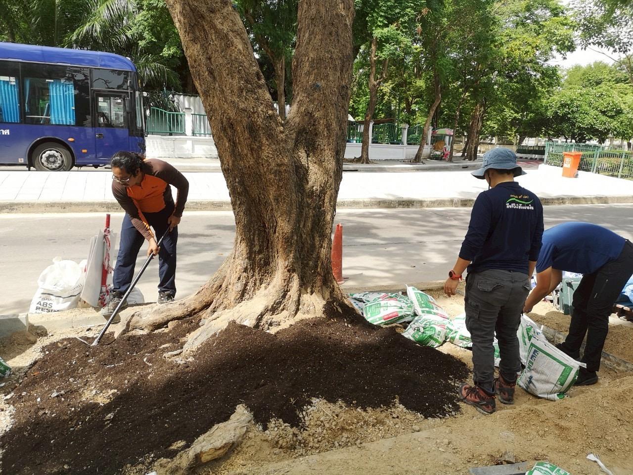 Spreading biochar knowledge