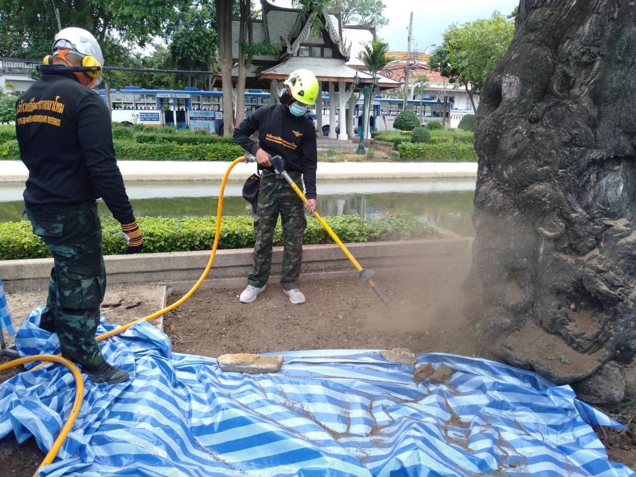 Using air spade to loosen compacted soil