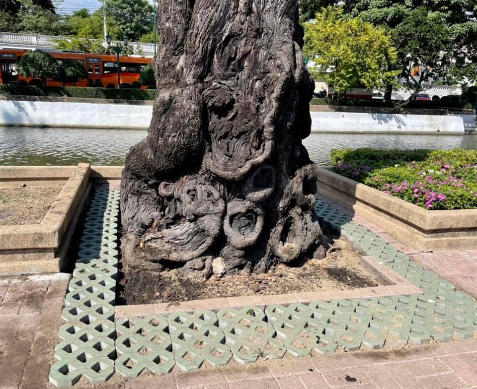 Laying porous bricks